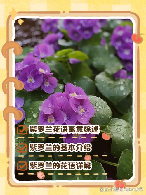 紫罗兰代表什么意思？紫罗兰代表啥？