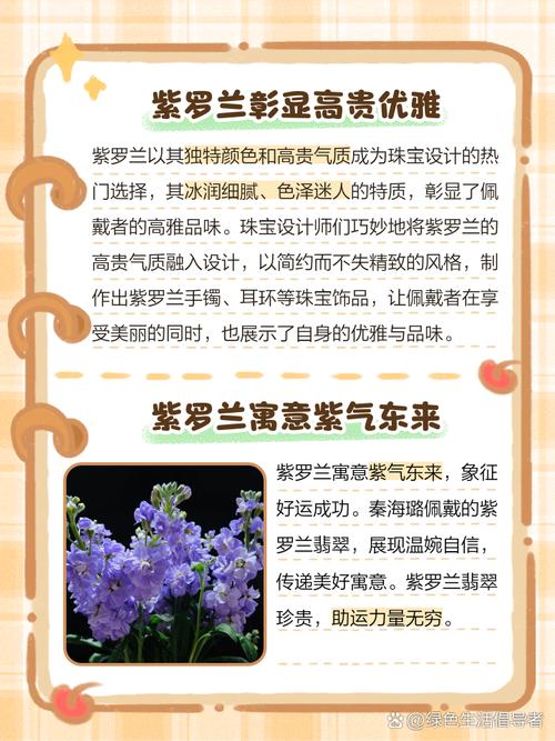 紫罗兰代表什么意思?紫罗兰代表啥?-第3张图片-优品飞百科 紫罗兰代表什么意思?紫罗兰代表啥?-第3张图片-优品飞百科