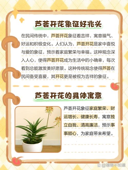 芦荟开花吗?开花象征着什么，芦荟开花吗?开花象征着什么意思？-第2张图片-优品飞百科