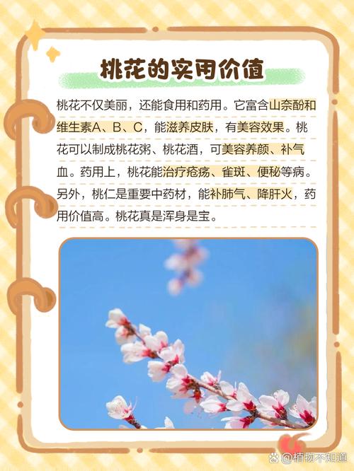 桃花长什么样子，桃花有什么特点，桃花长什么样子,桃花有什么特点呢？-第1张图片-优品飞百科