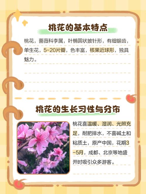 桃花长什么样子，桃花有什么特点，桃花长什么样子,桃花有什么特点呢？-第4张图片-优品飞百科