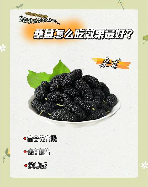 桑葚的吃法,桑葚粉的吃法和用量?-第1张图片-优品飞百科 桑葚的吃法,桑葚粉的吃法和用量?-第1张图片-优品飞百科