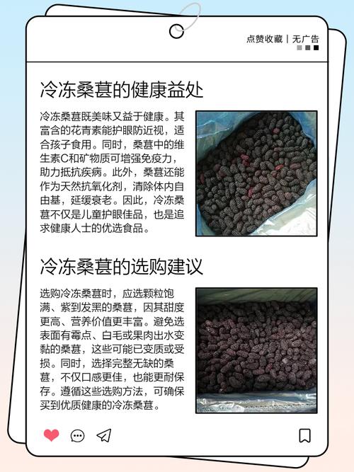 桑葚的吃法,桑葚粉的吃法和用量?-第3张图片-优品飞百科 桑葚的吃法,桑葚粉的吃法和用量?-第3张图片-优品飞百科