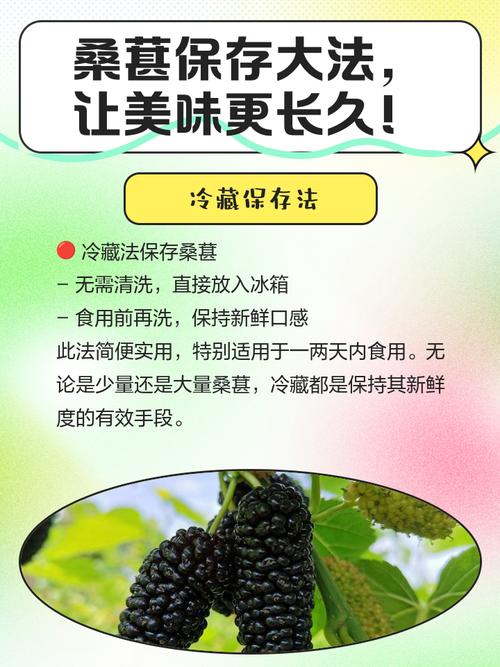 桑葚的吃法,桑葚粉的吃法和用量?-第4张图片-优品飞百科 桑葚的吃法,桑葚粉的吃法和用量?-第4张图片-优品飞百科
