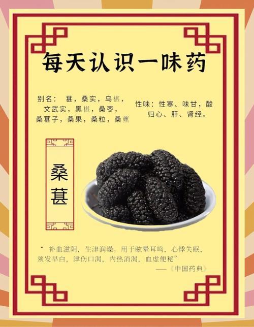 桑葚的吃法,桑葚粉的吃法和用量?-第6张图片-优品飞百科 桑葚的吃法,桑葚粉的吃法和用量?-第6张图片-优品飞百科