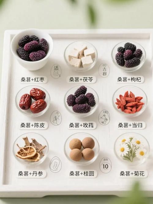 桑葚的吃法,桑葚粉的吃法和用量?-第7张图片-优品飞百科 桑葚的吃法,桑葚粉的吃法和用量?-第7张图片-优品飞百科