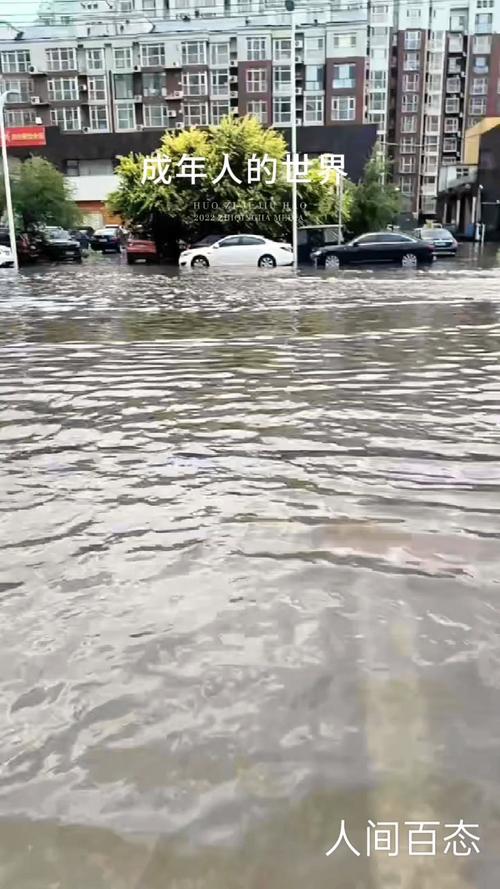 衡水一周天气预报？下载衡水天气预报？