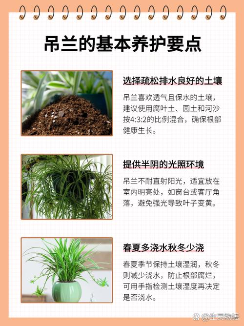 西南吊兰的养殖方法？西南吊兰的养殖方法视频？-第6张图片-优品飞百科