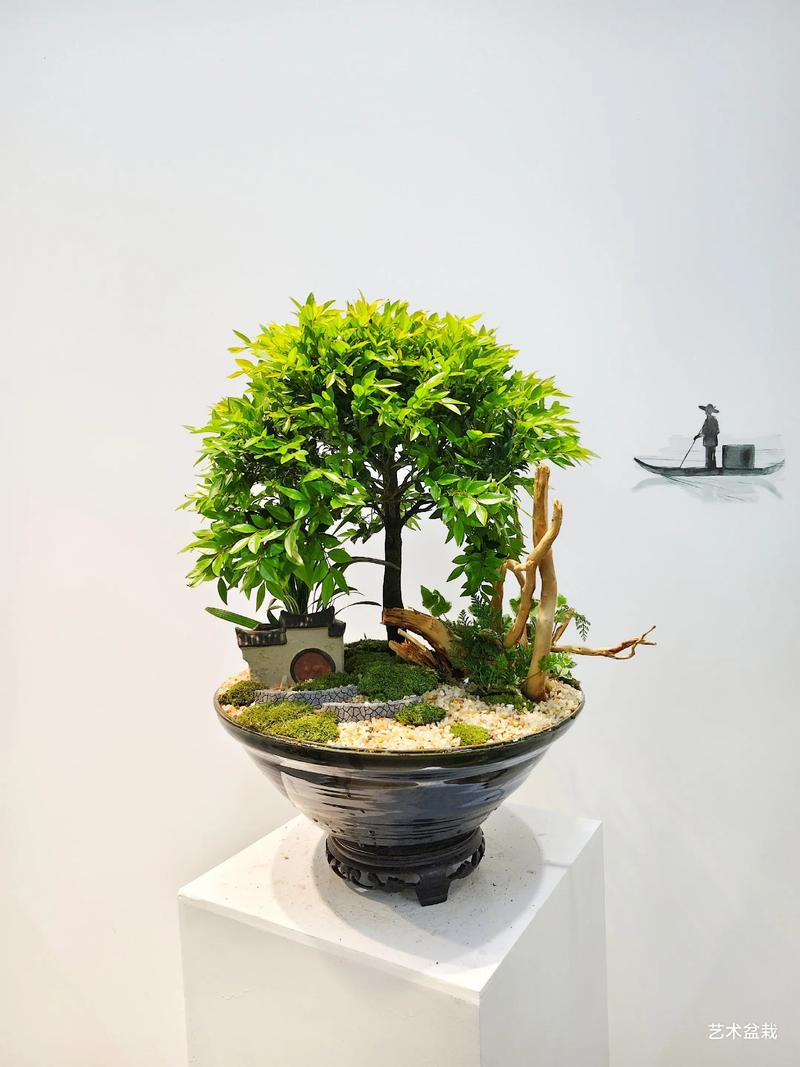 小叶紫檀的风水作用，小叶紫檀的风水作用与禁忌-第3张图片-优品飞百科