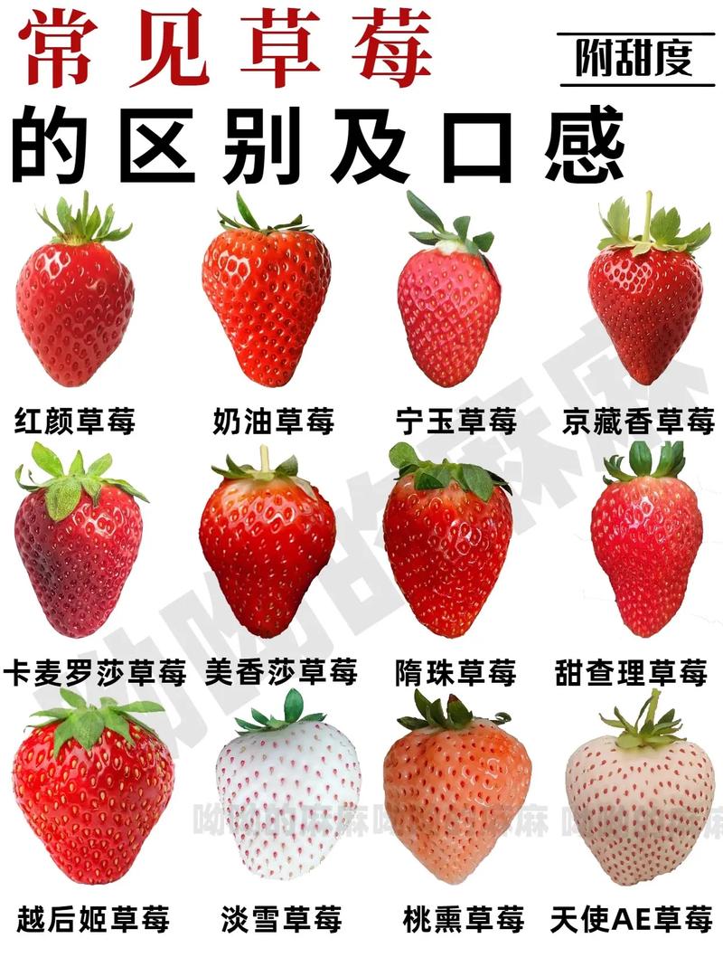 草莓像什么，草莓图片，草莓像什么水果-第1张图片-优品飞百科