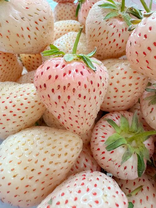 草莓像什么，草莓图片，草莓像什么水果-第3张图片-优品飞百科