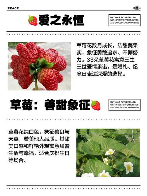 草莓像什么，草莓图片，草莓像什么水果-第4张图片-优品飞百科