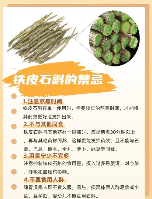 家养铁皮石斛怎么繁殖，铁皮石斛繁殖成活率高吗，铁皮石斛育种方法？-第5张图片-优品飞百科