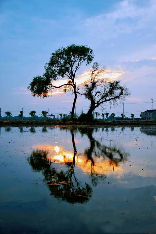 杭州萧山区天气预报30天准确，杭州萧山天气预报每小时预报-第8张图片-优品飞百科