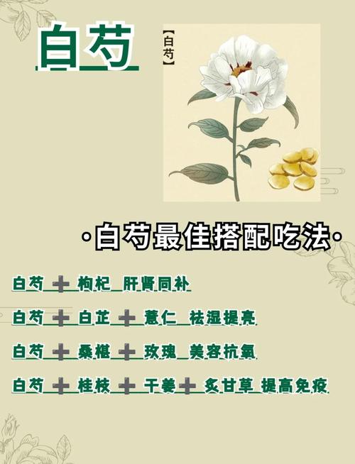 芍药的药用价值？芍药的药用价值是什么？-第4张图片-优品飞百科