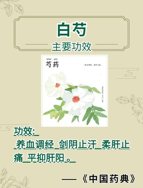 芍药的药用价值？芍药的药用价值是什么？-第5张图片-优品飞百科