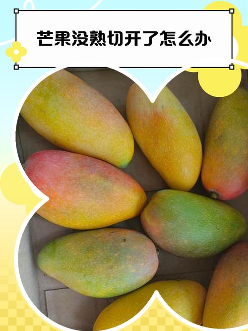 芒果怎么吃，芒果怎么吃不湿热-第6张图片-优品飞百科