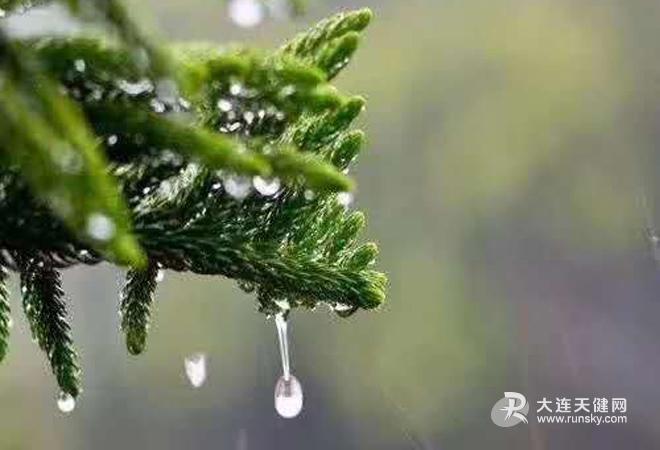 大连庄河天气预报？大连天气预报？-第5张图片-优品飞百科