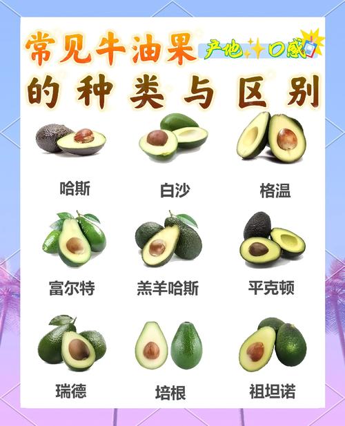 如何判断牛油果坏了（附挑选方法）？如何辨别牛油果坏了？-第2张图片-优品飞百科