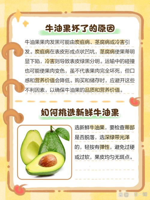 如何判断牛油果坏了（附挑选方法）？如何辨别牛油果坏了？-第6张图片-优品飞百科