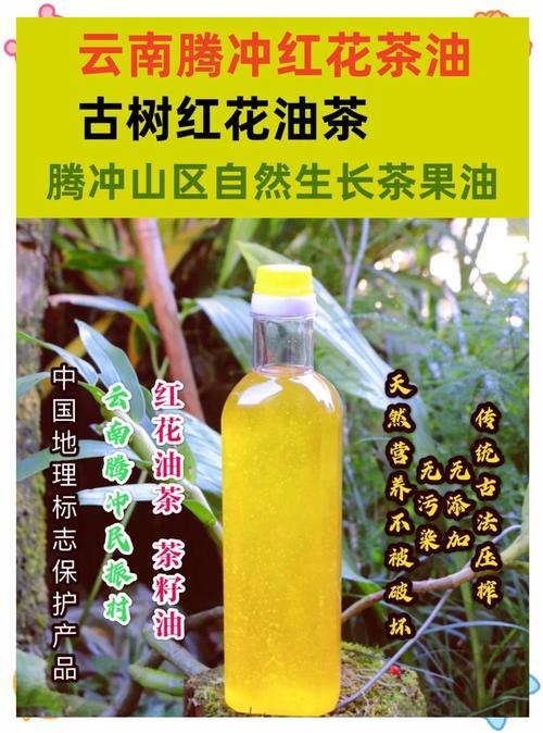 滇山茶的功效与作用，滇山茶是什么-第2张图片-优品飞百科