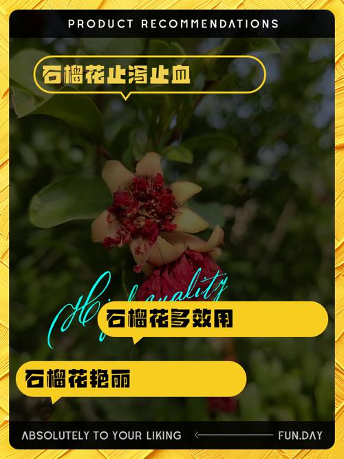 石榴花有什么作用？石榴花的功效与作用点？-第5张图片-优品飞百科