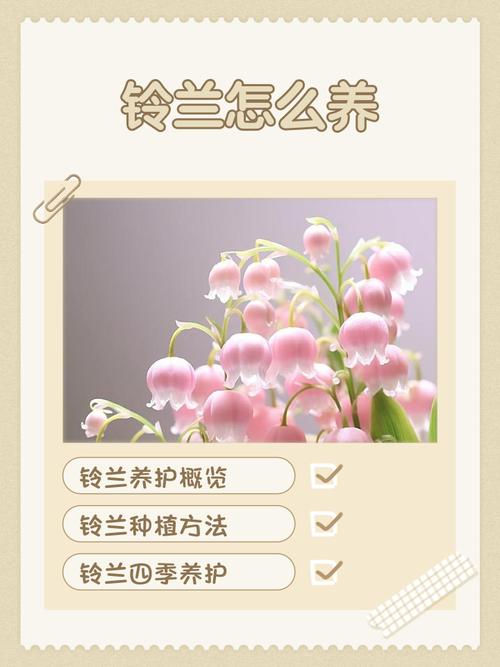 铃兰有毒吗，铃兰有毒吗适合家养吗？-第6张图片-优品飞百科