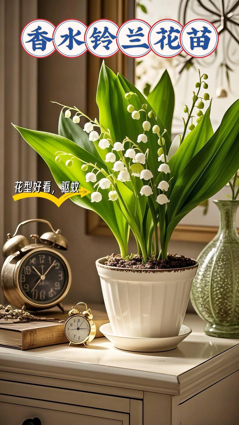 铃兰有毒吗，铃兰有毒吗适合家养吗？-第8张图片-优品飞百科