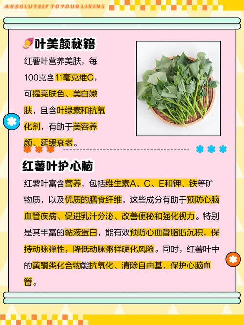 地瓜叶的功效与作用？猪吃地瓜叶的功效与作用？-第4张图片-优品飞百科