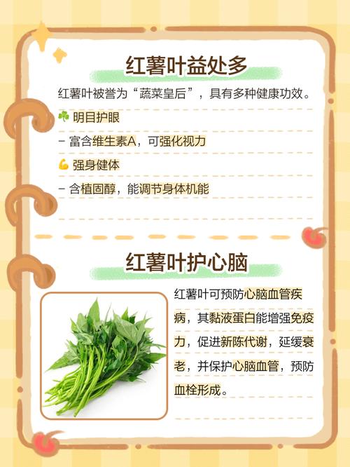 地瓜叶的功效与作用？猪吃地瓜叶的功效与作用？-第5张图片-优品飞百科