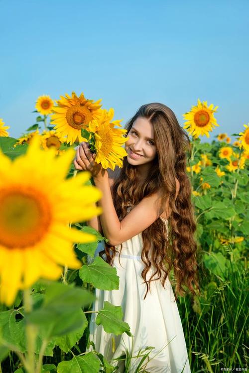 向日葵象征着什么意思，关于向日葵的资料，向日葵的含义是什么?象征什么?-第2张图片-优品飞百科