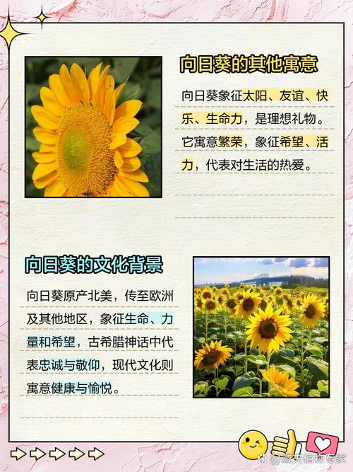 向日葵象征着什么意思，关于向日葵的资料，向日葵的含义是什么?象征什么?-第6张图片-优品飞百科