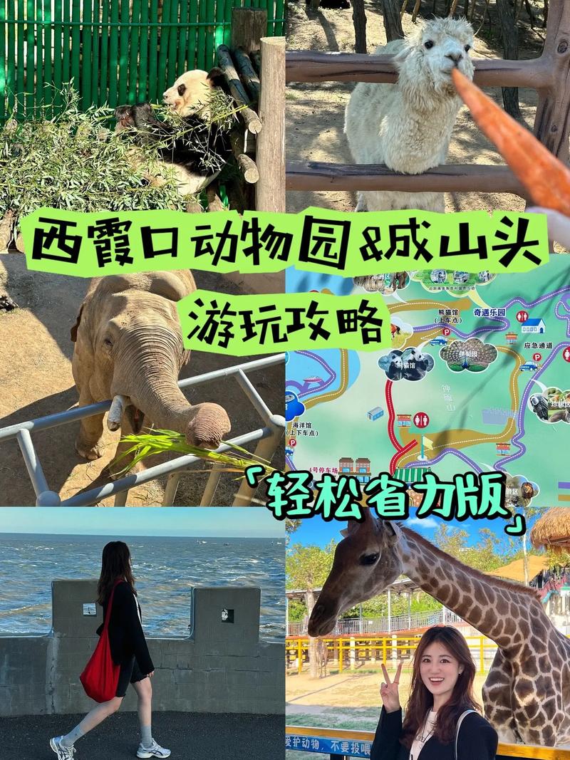 关于西霞口天气预报的信息-第2张图片-优品飞百科 关于西霞口天气预报的信息-第2张图片-优品飞百科