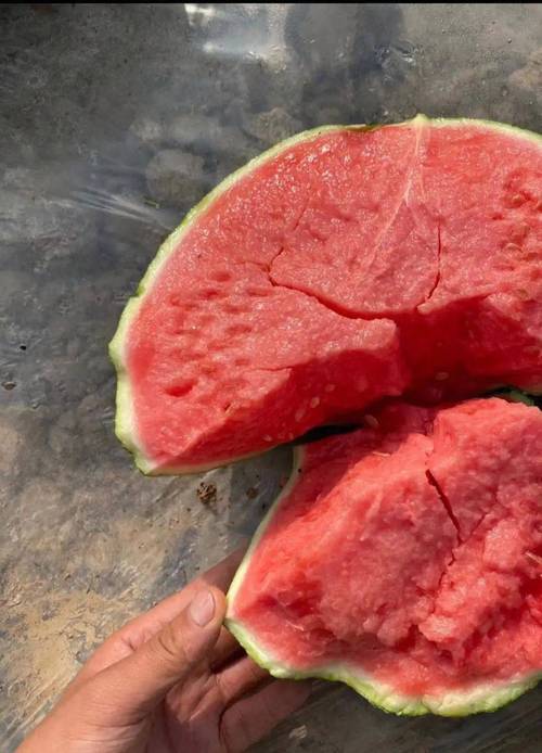 西瓜的品种，西瓜长在哪里？西瓜主要品种？-第2张图片-优品飞百科