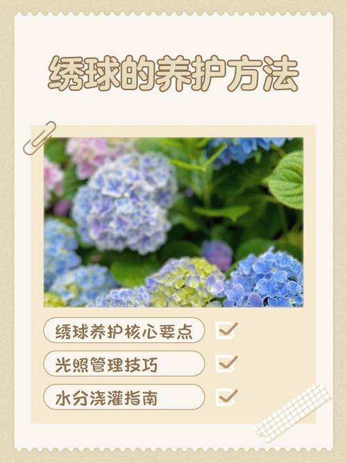 绣球花有休眠期吗，绣球花的休眠期多长，绣球花休根吗？-第5张图片-优品飞百科