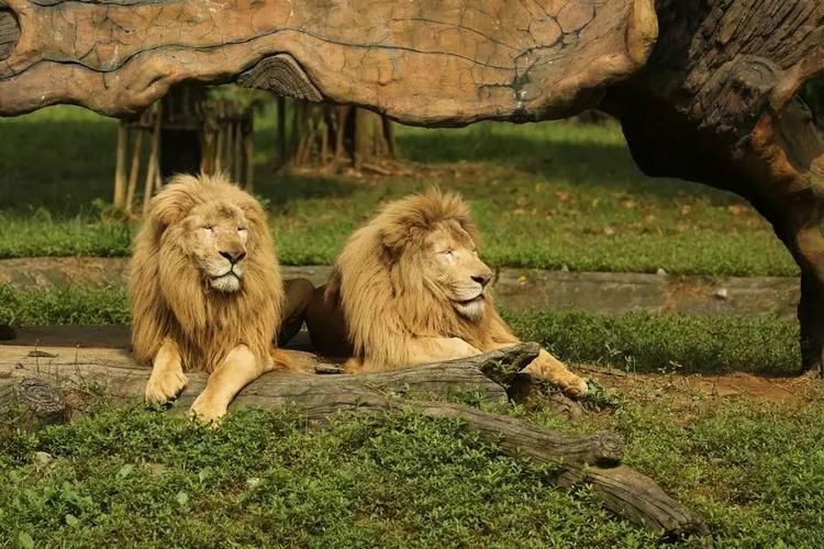 杭州天气未来三天，杭州未来15天的天气-第5张图片-优品飞百科