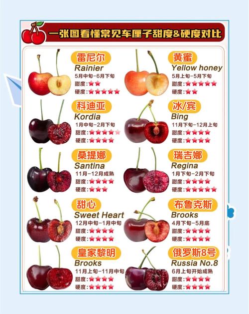 车厘子和樱桃的区别？车厘子和樱桃的区别在哪里？-第1张图片-优品飞百科
