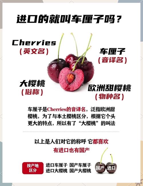 车厘子和樱桃的区别？车厘子和樱桃的区别在哪里？-第3张图片-优品飞百科