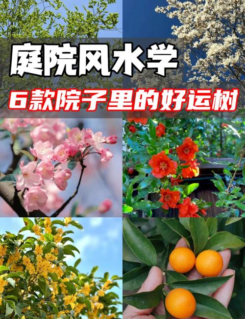 石榴花的守护神是谁?石榴花代表什么花语?-第3张图片-优品飞百科 石榴花的守护神是谁?石榴花代表什么花语?-第3张图片-优品飞百科