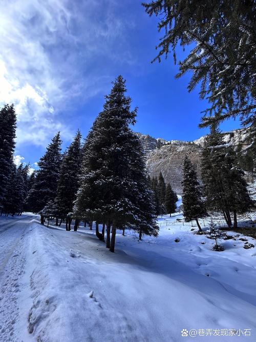 乌市天气预报?乌市天气预报30天查询结果?-第7张图片-优品飞百科 乌市天气预报?乌市天气预报30天查询结果?-第7张图片-优品飞百科