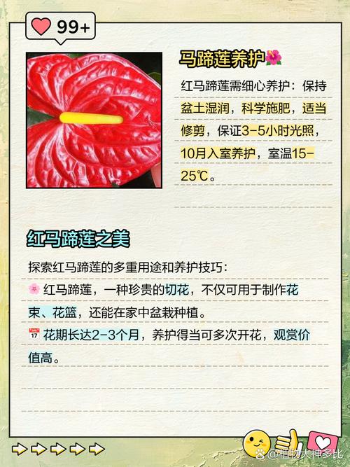 红马蹄草的养殖方法，红马蹄草的养殖方法视频-第1张图片-优品飞百科