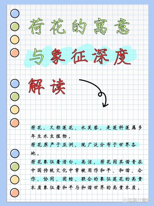 荷花的寓意象征意义，荷花的意义和象征-第3张图片-优品飞百科