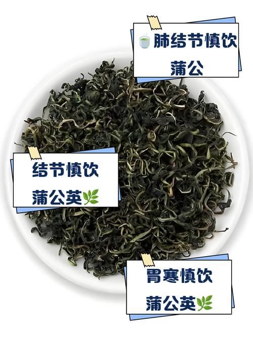蒲公英茶哪些人不宜喝,蒲公英茶哪些人不适合喝-第1张图片-优品飞百科 蒲公英茶哪些人不宜喝,蒲公英茶哪些人不适合喝-第1张图片-优品飞百科