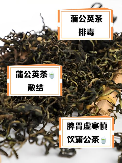 蒲公英茶哪些人不宜喝,蒲公英茶哪些人不适合喝-第2张图片-优品飞百科 蒲公英茶哪些人不宜喝,蒲公英茶哪些人不适合喝-第2张图片-优品飞百科