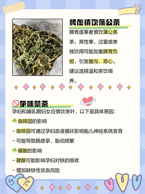 蒲公英茶哪些人不宜喝,蒲公英茶哪些人不适合喝-第3张图片-优品飞百科 蒲公英茶哪些人不宜喝,蒲公英茶哪些人不适合喝-第3张图片-优品飞百科