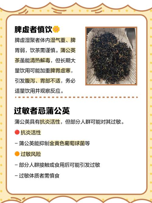 蒲公英茶哪些人不宜喝,蒲公英茶哪些人不适合喝-第4张图片-优品飞百科 蒲公英茶哪些人不宜喝,蒲公英茶哪些人不适合喝-第4张图片-优品飞百科