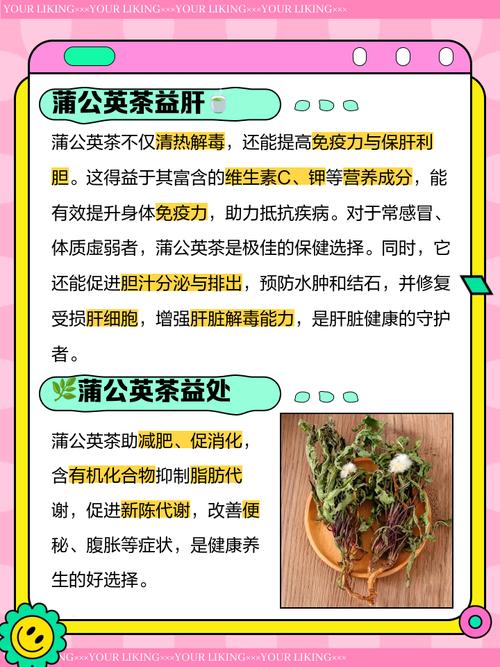 蒲公英茶哪些人不宜喝,蒲公英茶哪些人不适合喝-第5张图片-优品飞百科 蒲公英茶哪些人不宜喝,蒲公英茶哪些人不适合喝-第5张图片-优品飞百科