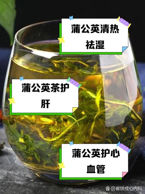 蒲公英茶哪些人不宜喝,蒲公英茶哪些人不适合喝-第6张图片-优品飞百科 蒲公英茶哪些人不宜喝,蒲公英茶哪些人不适合喝-第6张图片-优品飞百科