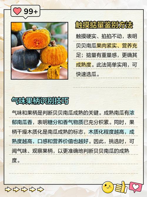 南瓜什么时候成熟，多少钱一斤？南瓜几月份成熟收获？-第3张图片-优品飞百科