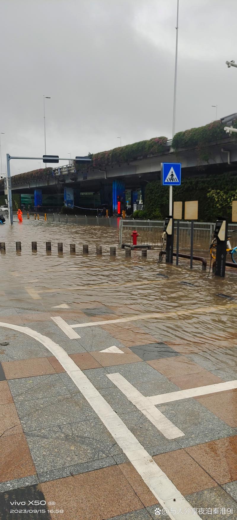 深圳市龙华区天气预报，深圳市龙华区天气预报7天？-第1张图片-优品飞百科